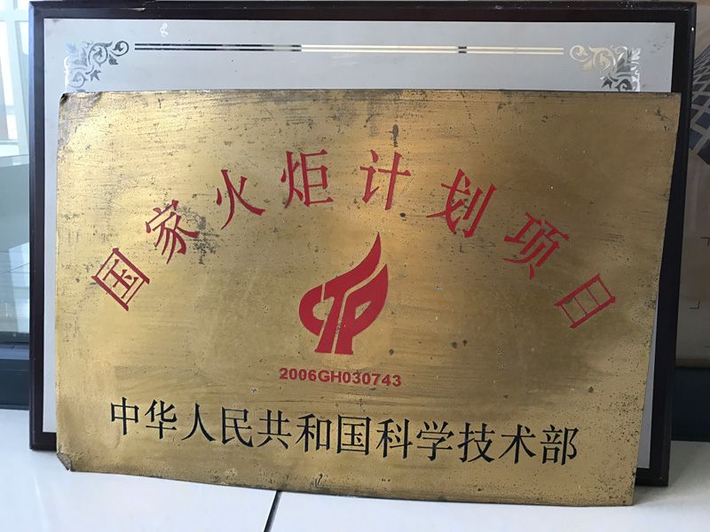 国家火炬妄想项目