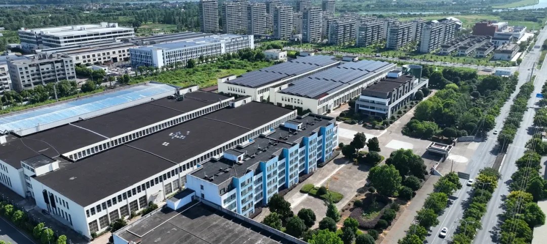 龙游pg赏金女王(官方版)新质料7