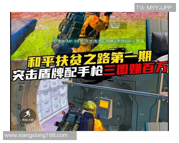 专访赵秀英揭秘和平精英成功背后的策略与创新之路