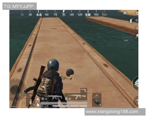 s15电竞总决赛和平精英新手灵活应对技巧与入门指南解析 s15电竞总决赛和平精英新手灵活应对技巧与入门指南解析