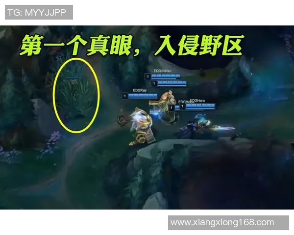 大师赛中EDG战队意识表现分析与战术深度解读