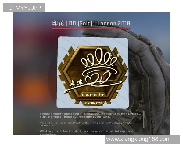 esports数据CSGO战术V5阵地战体系全面解析与实战应用技巧分享