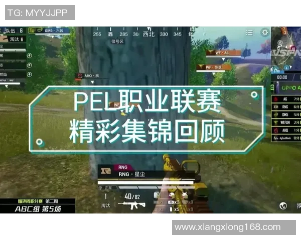 esports数据和平精英巨献揭秘RNG战队的独特节奏与战术风格分析